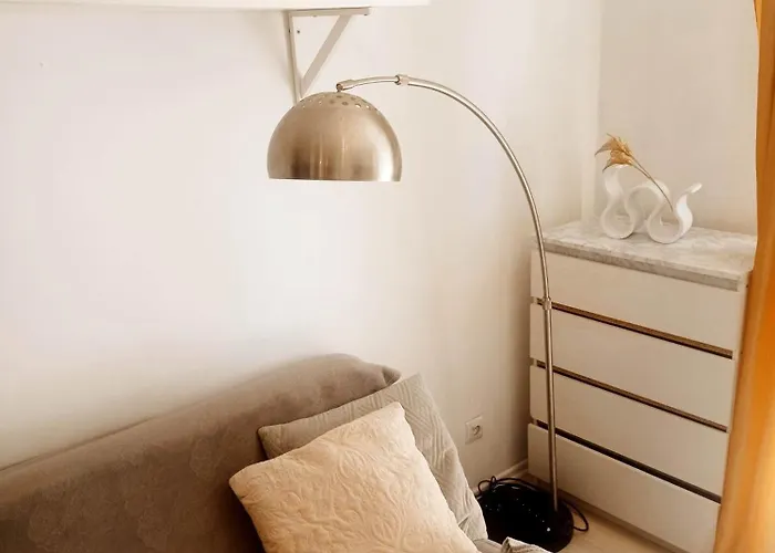 Appartement Campus - *